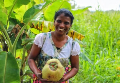 8-Day Sri Lanka Wildlife & Village Safari