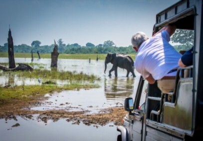 22-Day Luxury Safari in Sinharaja, Udawalawe & Wilpattu