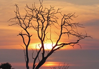 5 Days Uganda Big Five Safari