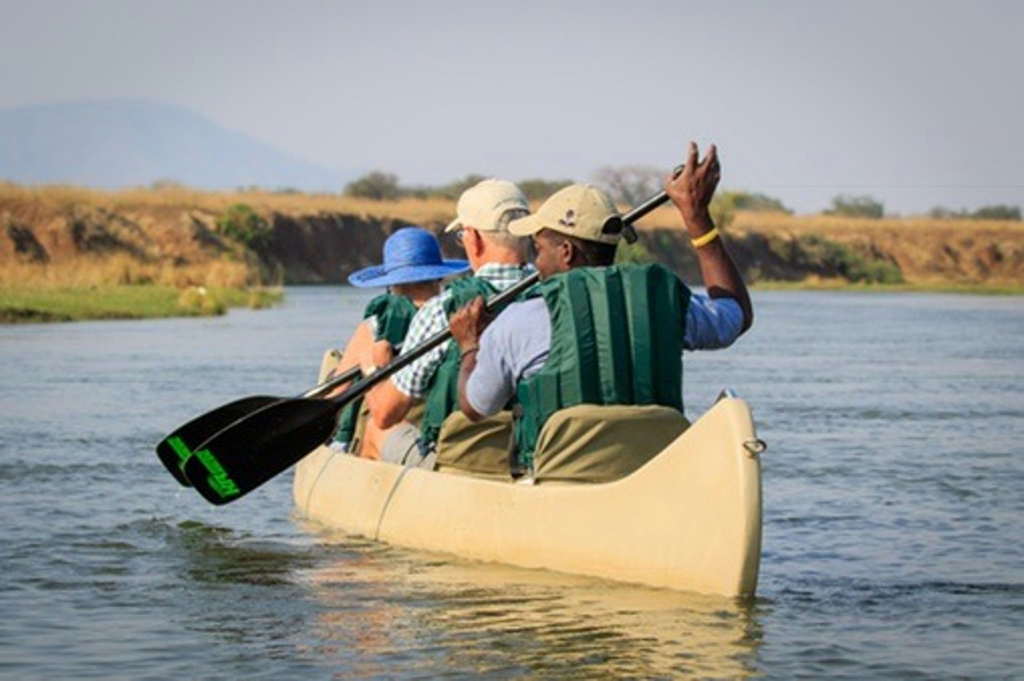 Thornicroft's Safari