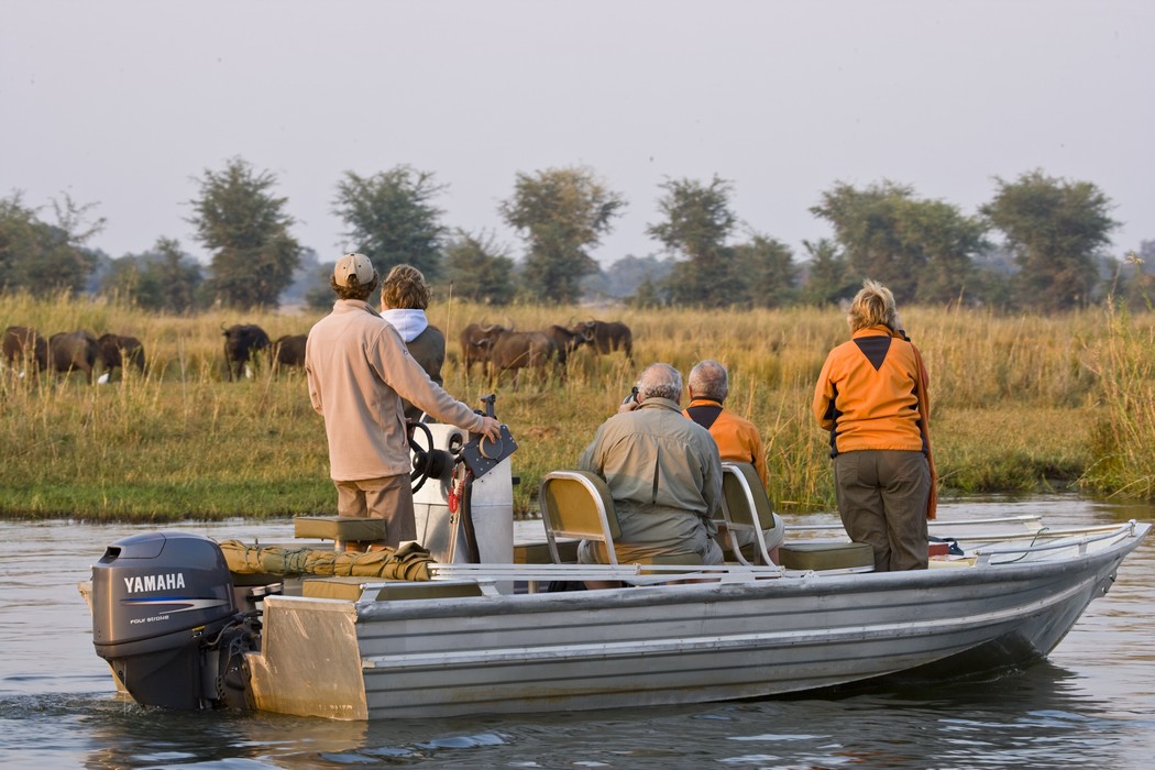 Thornicroft's Safari