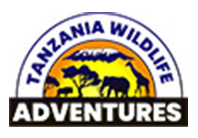 Tanzania Wildlife Adventures
