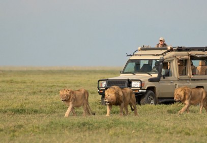 5-Day Out of Africa’s Big Five Safari