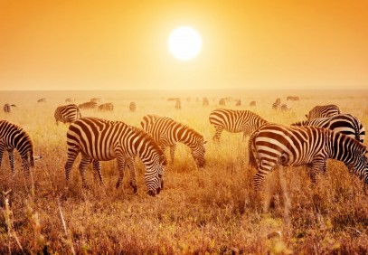 3-Day Tarangire, Ngorongoro and Lake Manyara National Park