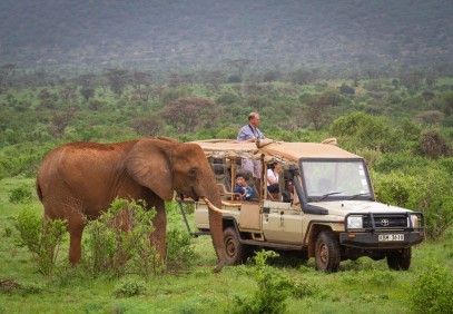 7-Day Kenya Big Five Safari
