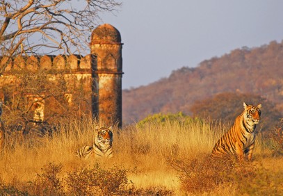 9-Day Luxury Golden Triangle Tour with Ranthambore