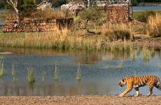 16-Day Rajasthan with Varanasi Tour