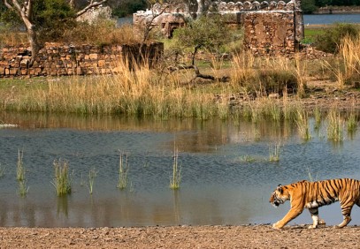 16-Day Rajasthan with Varanasi Tour