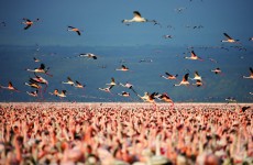 5-Day Kenya Safari