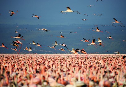 5-Day Kenya Safari