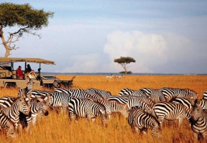 7-Day Northern Kenya & Lakes Safari