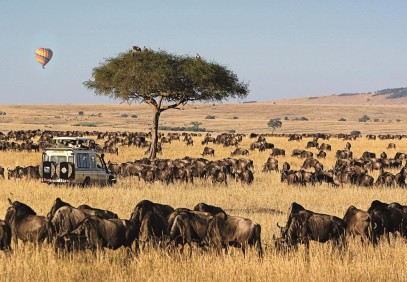 4-Day Bush & Lake Safari