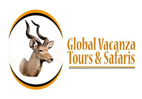 Global Vacanza Tours and Safaris