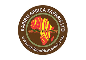 Karibu Africa Safaris