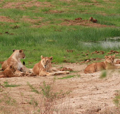 Tarangire National Park