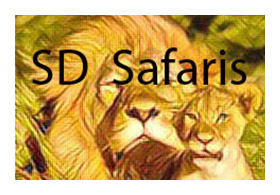 SD Safaris