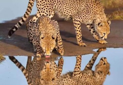 4-Day Wilderness Camping Safari