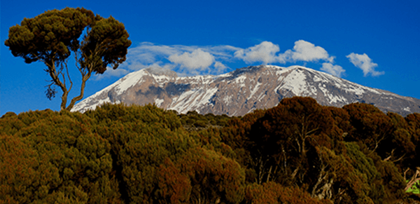 Mount Kilimanjaro National Park 3
