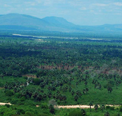 Selous Game Reserve