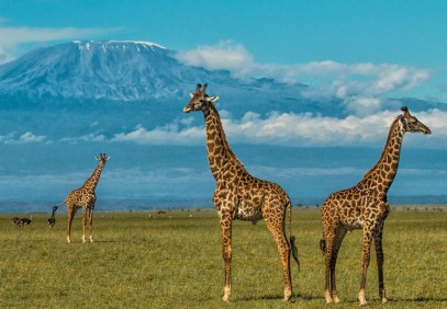 6-Day Kenya Parks Safari