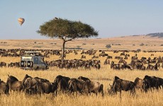 7-Day Kenya Big Five Safari Package