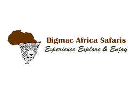 Bigmac Africa Safaris