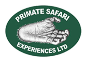 Primate Safari Experiences