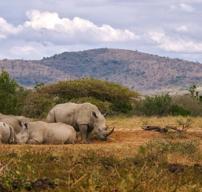 Hluhluwe–iMfolozi Park
