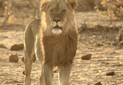 Namibia, Travel With Purpose
