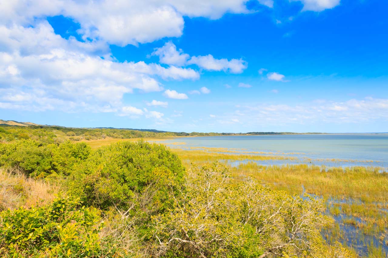 Isimangaliso Wetland Park Landscape