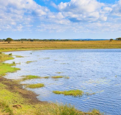 iSimangaliso Wetland Park