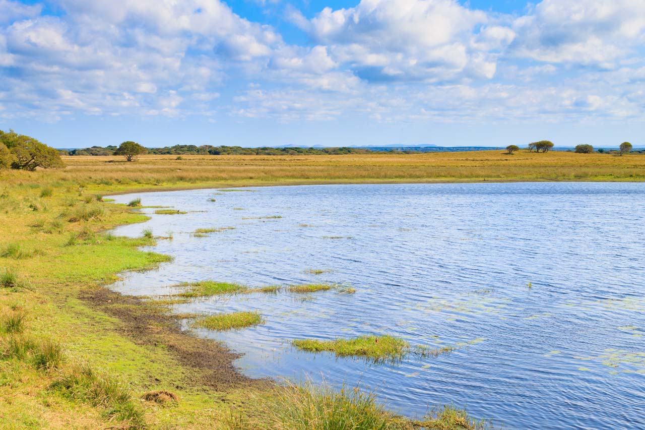 Isimangaliso Wetland Park Landscape