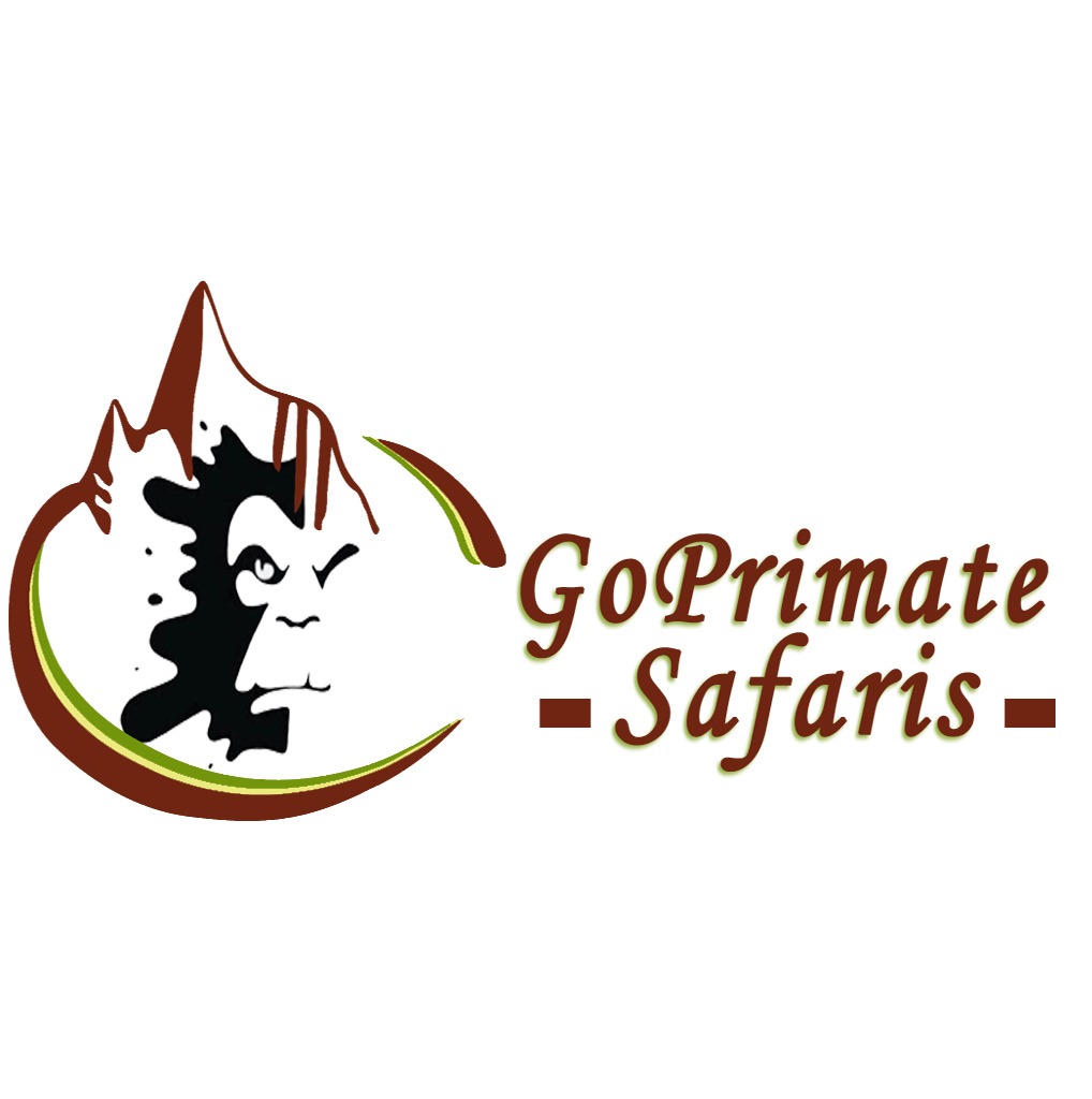 Go Primate Safaris