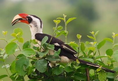 Private Camping Safari to Serengeti & Ngorongoro