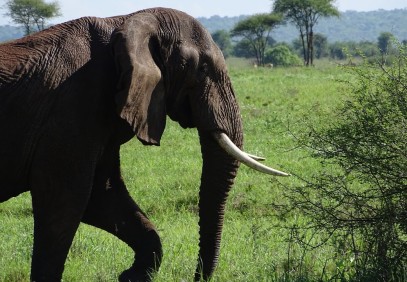 4-Day The Best of the Northern Zone Safari