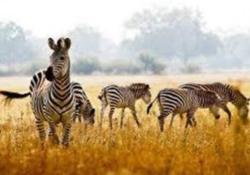 I Hd7e64b44c25f394e083b0cd944694748970632e2