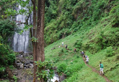 1-Day Materuni Waterfalls, Coffee Tour & Kikuletwa Hot Springs