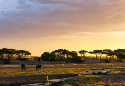 3 Days Safari Tarangire, Ngorongoro Crater and Lake Manyara