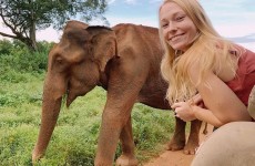 5 Days Discover Two Giant Mammals