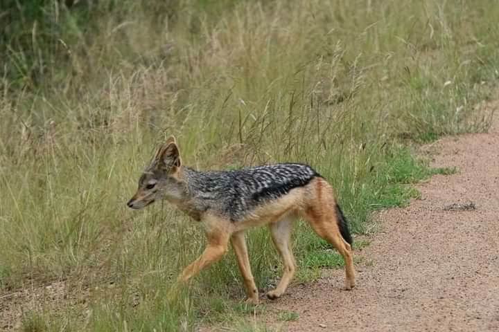 Best Holiday Experience