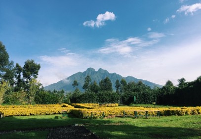 7 Days Best of Rwanda Safari