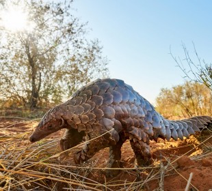 9-Day Off the Beaten Track in South Africa