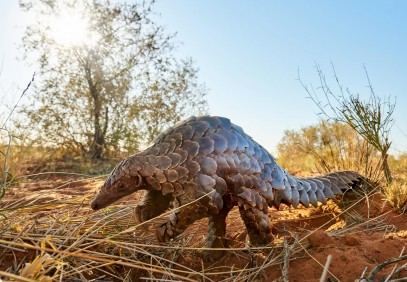 9-Day Off the Beaten Track in South Africa