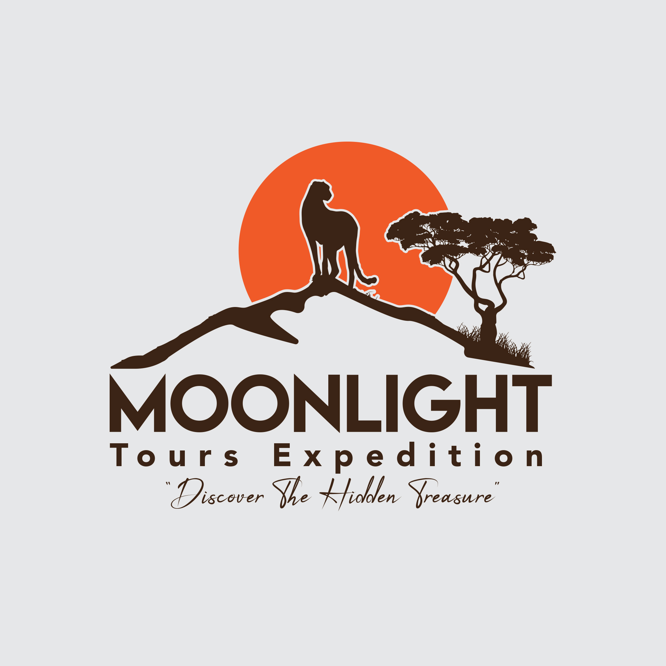 Moonlight Tours Expedition