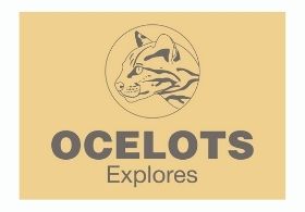 Ocelots Explores
