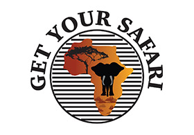 Picture Perfect Safaris