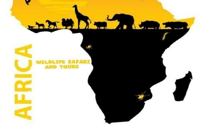 Africa Wildlife Safari and Tours