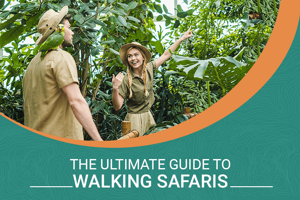 The Ultimate Guide to Walking Safaris
