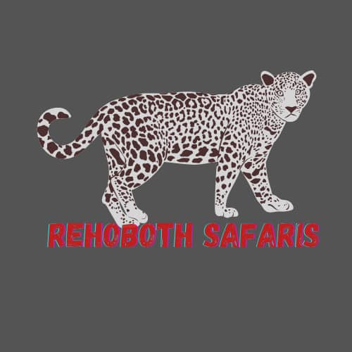 Rehoboth Safaris