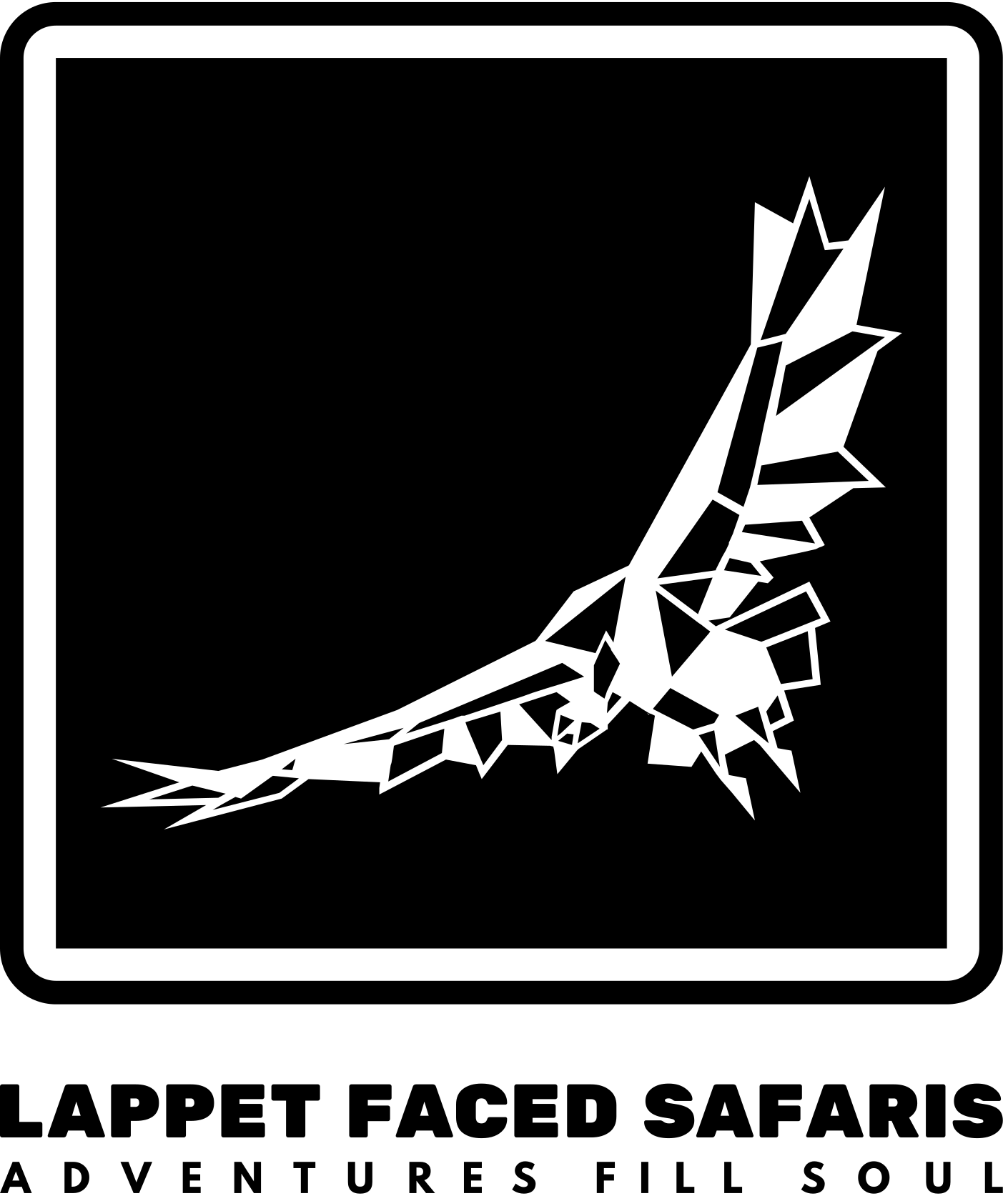 Lappet Faced Safaris